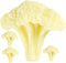 VALICLUD 4Pcs Artificial Cauliflower Models Lifelike Faux Vegetables for Home Kitchen Display