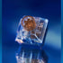 DRAOZA Kailh Box Whale Silent Switch - Tactile Silent Switch for Mechanical Keyboard (Tactile Silent Kailh Whale 36pcs)