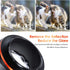 K&F Concept MD to NEX Lens Mount Adapter for Minolta MD MC Lens to NEX E Mount Cameras for Sony A6000 A6400