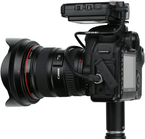 ProPole Painter's Pole Adapter, Made in The USA, Camera Monopod, Selfie Stick, Telescoping Extension Pole