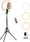 12" Selfie Ring Light with 63" Tripod Stand/Phone Holder, QEUOOIY 20W LED Circle Lights for Vlog, Makeup, YouTube