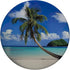 Tropical Beach Palm Tree Ocean PopSockets Standard PopGrip