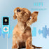 Luqeeg MP3 MP3 1.8 Inch Player, Portable Lossless Sound Slim Music Player with Earphone, LCD Screen Digital Music