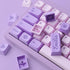 Hyekit PBT Keycaps, 132 Keycaps Cherry Profile Botanical Keycap for Cherry MX Mechanical Keyboards (Witch Emilia)