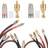 Elechood 20Pack RCA Male Plug Solder, Gold Audio Video Cable Adapter Connector for Speaker Wire Wall Plate Home Theater