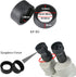 AUNMAS 2PCS Eyepiece Cover, Binocular Eye Cups Binocular Eye Cups Replacement Guard Soft Rubber 36mm Diameter Stereo Microscope Accessory for 32 36mm Stereo Microscope(Flat Angle)(KP-H2 flat angle)