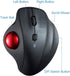 SANWA Bluetooth Ergonomic Trackball Mouse, Optical Vertical Rollerball Mice with Adjustable DPI, Compatible with