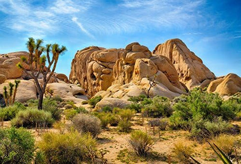 Sandstone Desert Mountain Backdrops, Yeele 5x3ft Vinyl Blue Sky White Clouds Cactus Tropical Landscape Photography