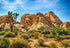 Sandstone Desert Mountain Backdrops, Yeele 5x3ft Vinyl Blue Sky White Clouds Cactus Tropical Landscape Photography