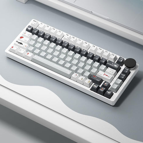 PBT Keycaps, 5-Sided Dye Sublimation Cherry Profile 142 Keys, Custom Keycap Set for 100%/96%/75%/65%/60% Mechanical