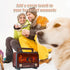 T.TAOMI Retro Portable Radio AM FM SW Shortwave Radio with Bluetooth Speaker,Flame Atmosphere Lamp Battery Operated,SUB