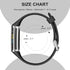 Maledan Compatible with Fitbit Charge 5/6 Bands - Breathable Sport Band Soft Waterproof Replacement Wristbands