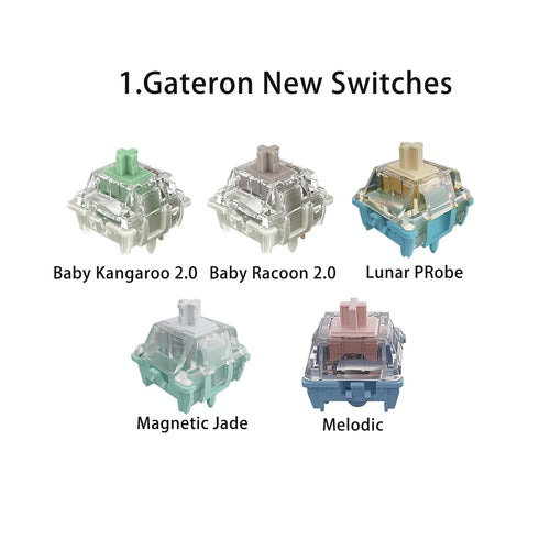 Gateron Series New and Classic Mechanical Keyboard Switches Pack 20pcs