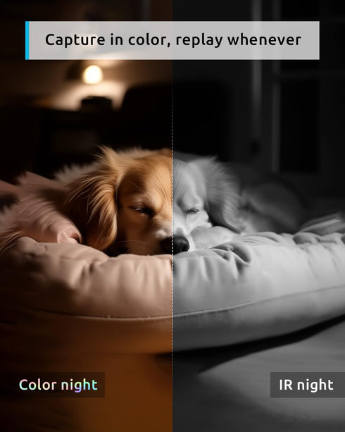 blurams 2K Pet Camera, 360 Indoor Security Camera with Phone App, 2-Way Audio, Motion Tracking