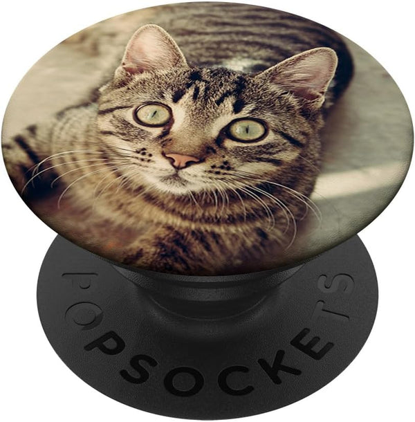 PopSockets Standard PopGrip, Funny Kitten Face Pop Out Cell Phones, Cute Cats Love