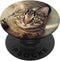 PopSockets Standard PopGrip, Funny Kitten Face Pop Out Cell Phones, Cute Cats Love