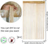 Decorative Door String Curtain Wall Panel, Fringe Window Room Divider for Wedding and Home Decoration, Champagne