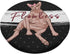 Funny Sphynx Cat Flawless Naked Cat Fat Hairless Cat PopSockets Grip and Stand for Phones and Tablets