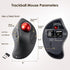 SANWA Bluetooth 5.1 Wireless Ergonomic Trackball Mouse, Finger Control Roller Ball, 3 Device Switch, Silent Programmable