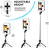 PIOENIMAGE Dimmable Selfie Ring Light with Stand, Tripod with LED Lights, Extendable Ring Light Tripod for Photography