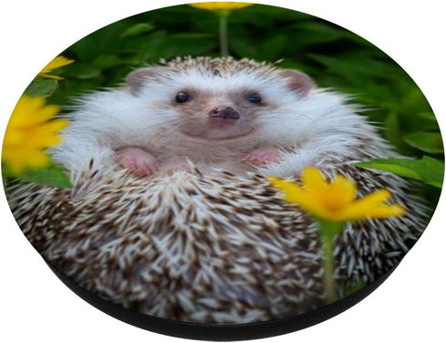 Hedgehog Smiling PopSockets PopGrip: Swappable Grip for Phones & Tablets