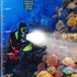 Suptig Video Lighting Dive Light, 72 LED Underwater Lights for GoPro, Canon, Nikon, Waterproof 147ft
