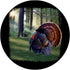 Art Design Turkey Hunting Gift Big Turkey Image PopSockets PopGrip for Phones & Tablets