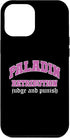 iPhone 14 Pro Max Paladin Funny Character Case for RPG Roleplaying Gamer