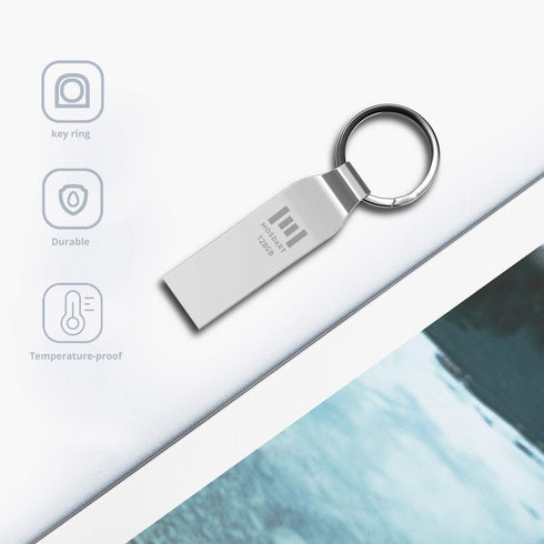 MOSDART 128GB Metal USB 2.0 Flash Drive, 2 Pack Waterproof Jump Drive for Data Storage