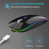 TENMOS Wireless Bluetooth Mouse, LED Slim (Bluetooth 5.1 + USB) 2.4GHz Rechargeable Silent Mouse with Type C Adapter,