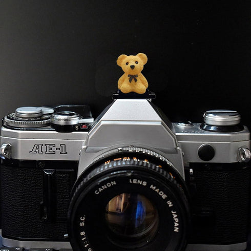 ZOSTLAND Lovely SLR Camera Hot Shoe Boot Cover Cap, Brown Bear Protector, Compatible with Sony Fuji Canon Nikon Pentax