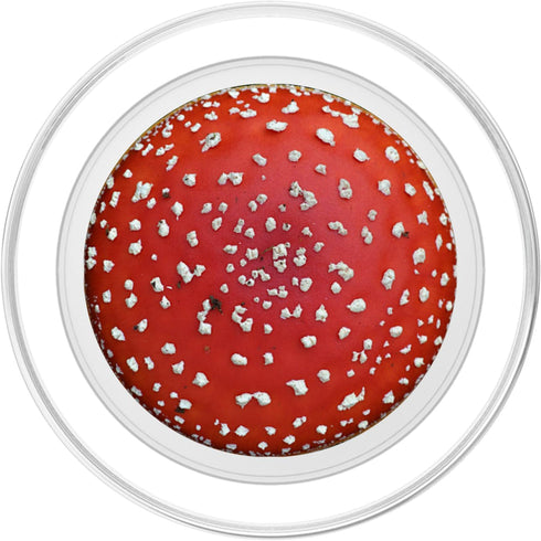 Red Fly Agaric Amanita Mushroom Fungus Hipster Nature Gift PopSockets PopGrip: Swappable Grip for Phones & Tablets,