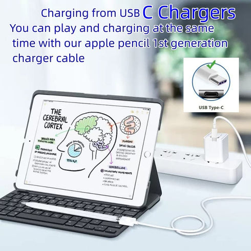 USB C to Apple Pencil Adapter 3.3FT Charger Compatible with Apple Pencil 1st Generation for iPad USB C Port