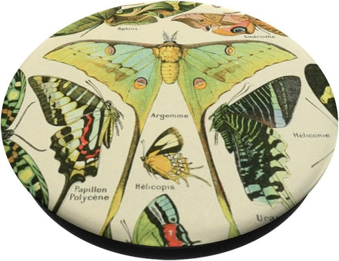 Luna Moth Butterfly Vintage Botanical Biology Illustration PopSockets Standard PopGrip