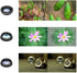 Cell Phone Camera Lens Kit - 11 in 1 Super Wide Angle, Macro, Fisheye, Telephoto, CPL & More for iPhone/Samsung