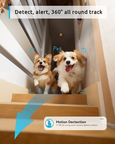 blurams 2K Pet Camera, 360 Indoor Security Camera with Phone App, 2-Way Audio, Motion Tracking