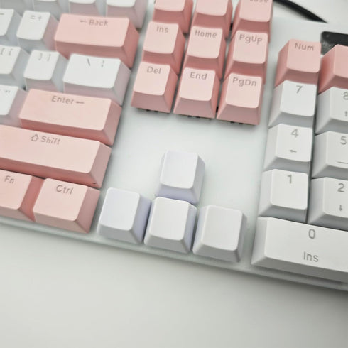 OEM Profile White Blank Keycaps, PBT Material 1U R4 for MX Switches Mechanical Keyboard (White, 100pcs)