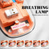Transparent Wireless Mouse, Rechargeable Mute BT5.1/2.4G Bluetooth Mouse for Mac, iPad, Laptop, PC (Orange)