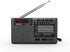 XHDATA D368 Portable Shortwave Radio AM FM SW 12 Band DSP Stereo MP3