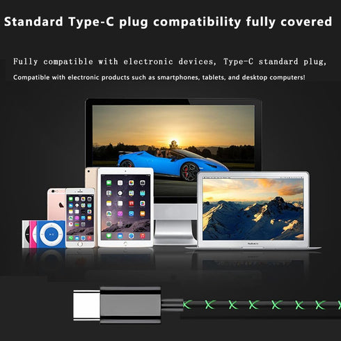 Wired USB C Earphones with Microphone, Clip-On Controller Function, Subwoofer Stereo, Compatible with iPad and Android