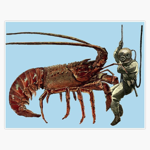 BKR Graphics Vintage Helmet Diver Observing a Giant Lobster URM Sticker Decal Car Window