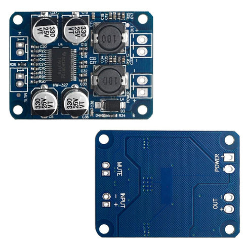 XINGYHENG 2Pcs TPA3118 Single Channel Digital Audio Power Amplifier Board Module, 1X60W