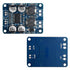 XINGYHENG 2Pcs TPA3118 Single Channel Digital Audio Power Amplifier Board Module, 1X60W