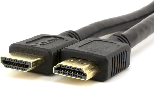 VividAV HDMI A male to A Male Cable (10 Feet, 1-Pack)