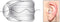 Ear Phone Connection Torpedo Ear Bud 3-Pack