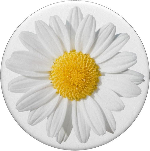 Cute White Daisy Flower Yellow So Pretty On White Background PopSockets PopGrip: Swappable Grip for Phones & Tablets