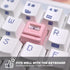 Custom Light Transmission Keycaps for Classic Retro Mechanical Backlit Keyboard, Suitable for Most MX Switches RGB PC