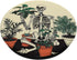 Skeleton Plant PopSockets Standard PopGrip
