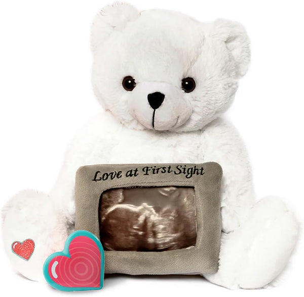 My Baby's Heartbeat Bear My Babys Heartbeat Bear, 20 Second Re-Recordable Voice Recorder Plush Keepsake, 3x5