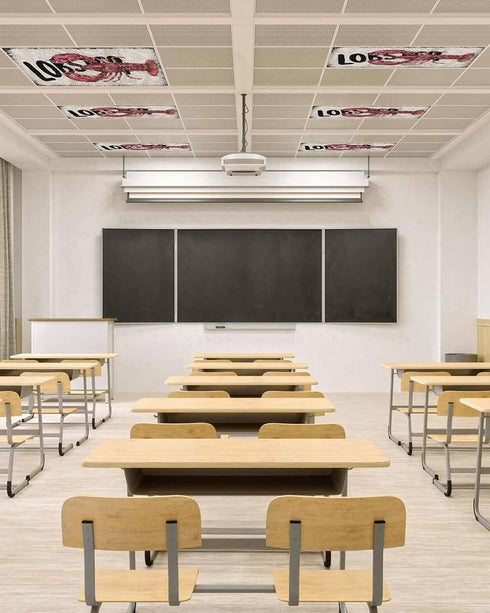 Velvessentia 3 Pack, 4x2 Summer Fluorescent Light Covers for Ceiling Lights Lobster Nautical Magnetic Classroom Light